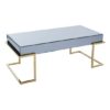 Kayo Grey Glass Top Coffee Table With Gold Stainless Steel Base